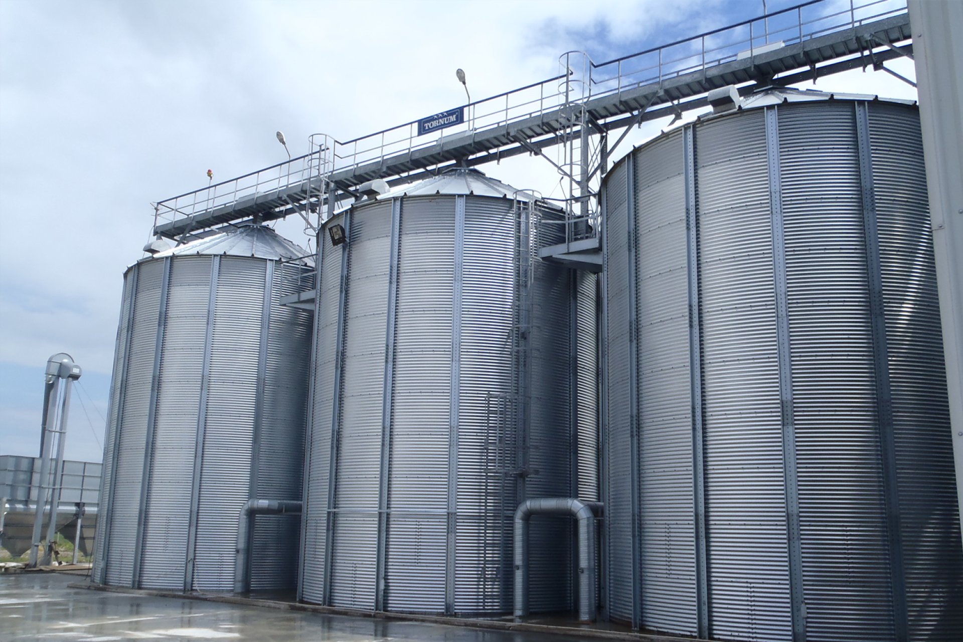 Agronicolescu - Complex de creșterea porcilor / Fermă reproducere suine