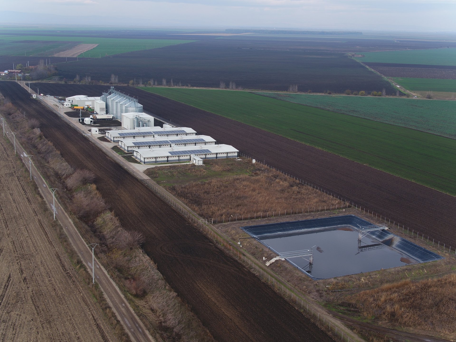 Agronicolescu - Complex de creșterea porcilor / Fermă reproducere suine